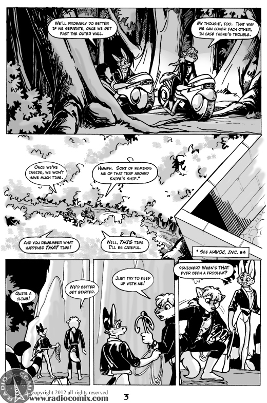 Havoc Inc 07 Pg 03
